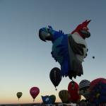 OTRA_2016_0267 (October 05, 2016)